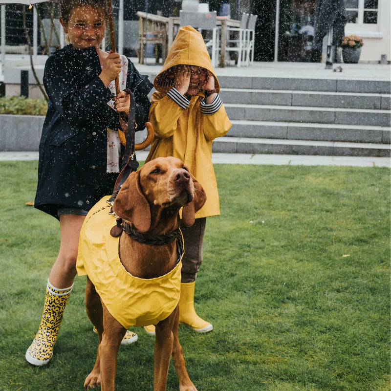 HUNTER Milford regntäcke till hund -  - HundStil.com